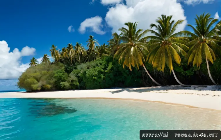 Home 27 통가 기후 및 날씨 - Photorealistic tropical island coastline in Tonga during the sunny dry season, turquoise Pacific wat...